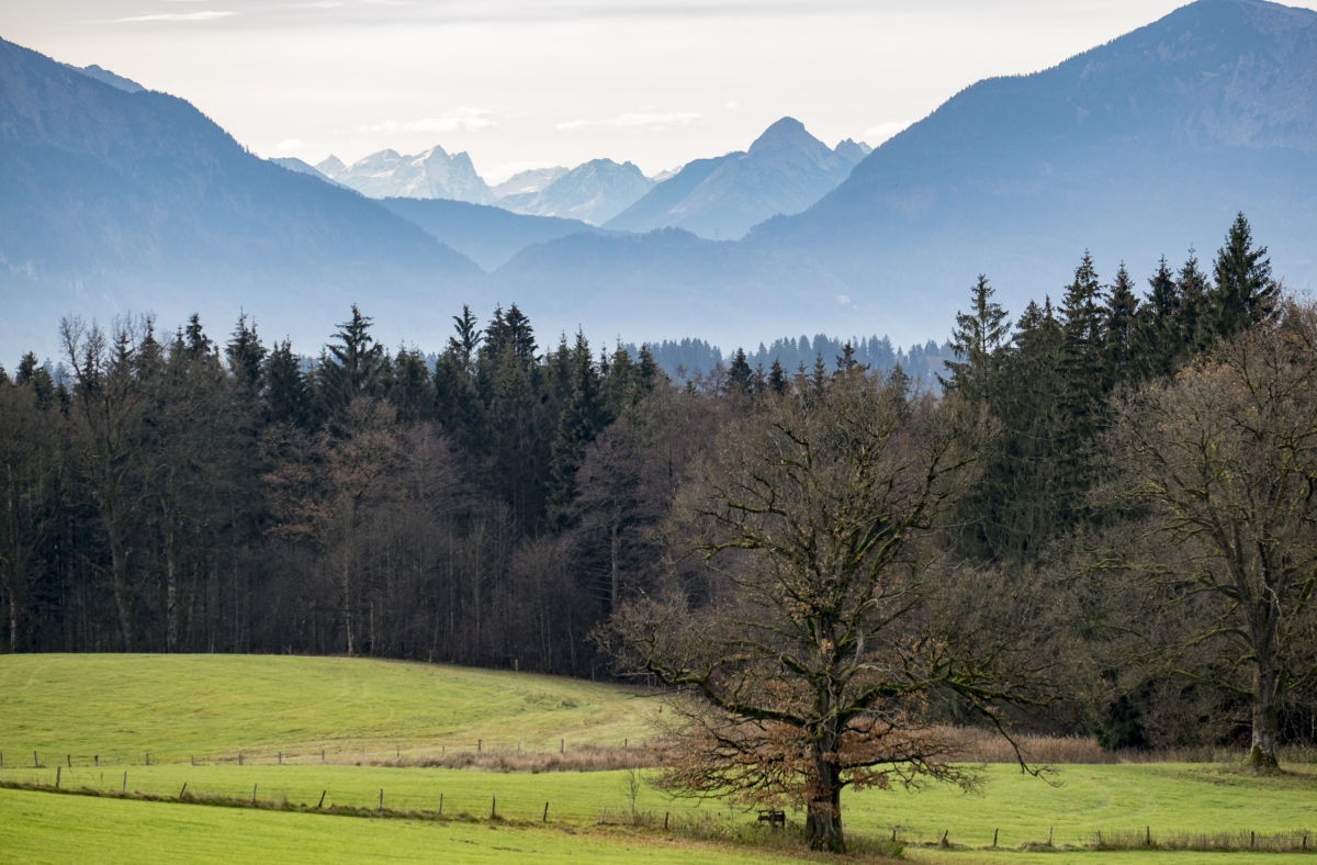 Natur Nantesbuch