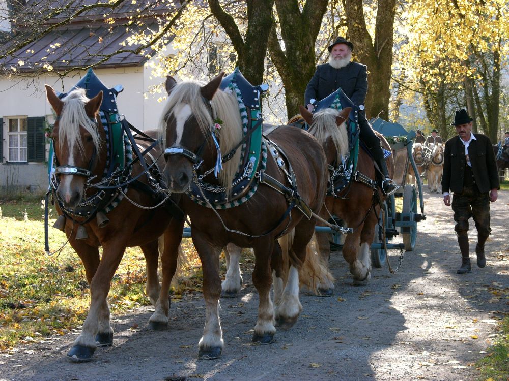 Leonhardifahrten