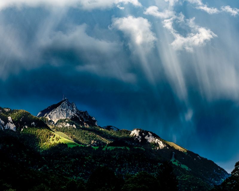 sehnsucht nach dem Ursprung