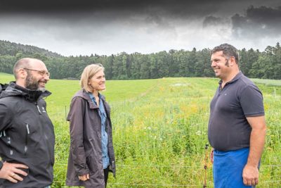 Erzeuger und Verbraucher