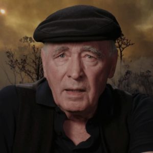 Wurzeln des Überlebens