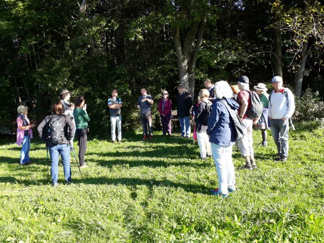 Weg der Steine