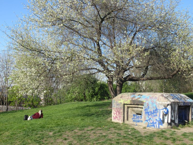 Perückenmacherpark