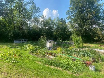 Wirkstatt-Aktionstag Gemüsegarten