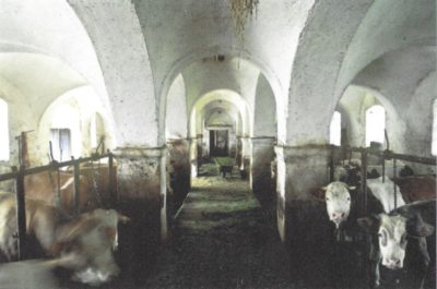 Museum Humanum