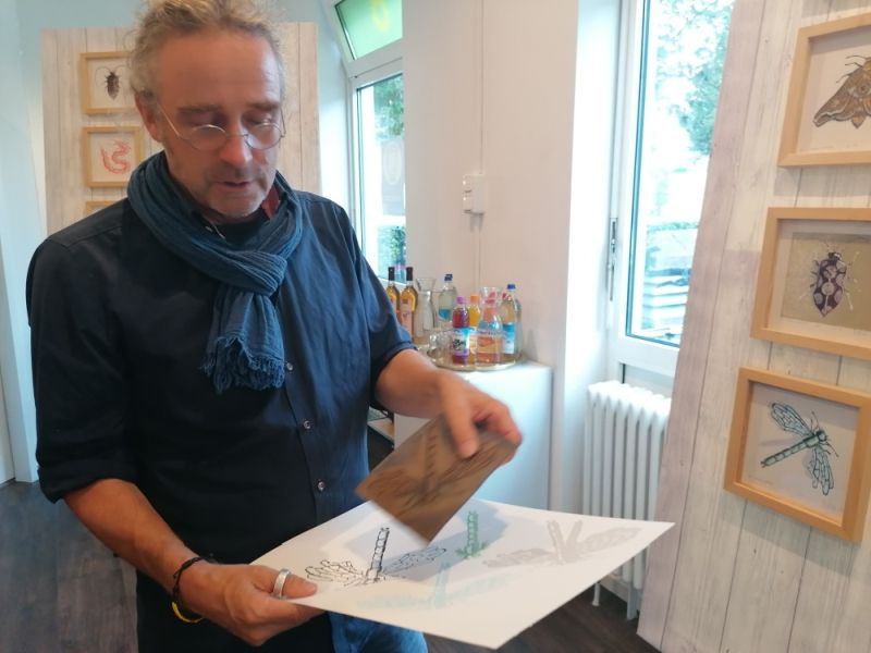 Insektensterben