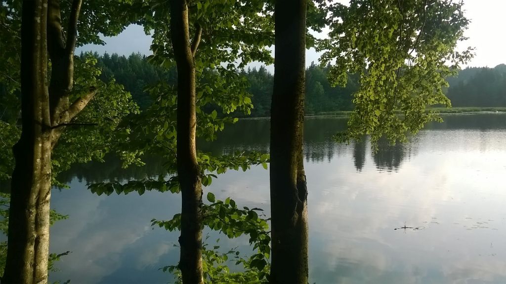 Im Hackensee lebt der Hackenmann