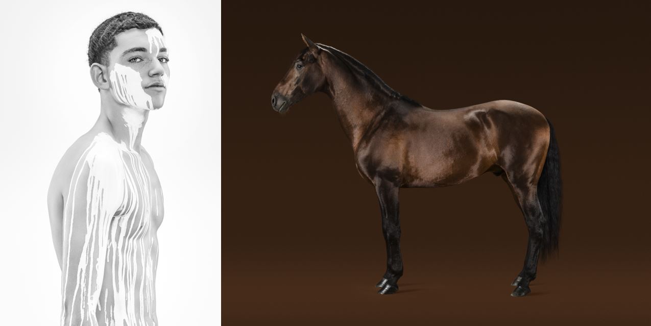 Photographie now! Mike Kraus: linkes Bild: aus der Serie "Shell" und rechts: "Vénération"