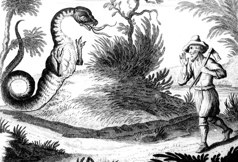Dem Tatzelwurm auf der Spur - KulturVision e.V.