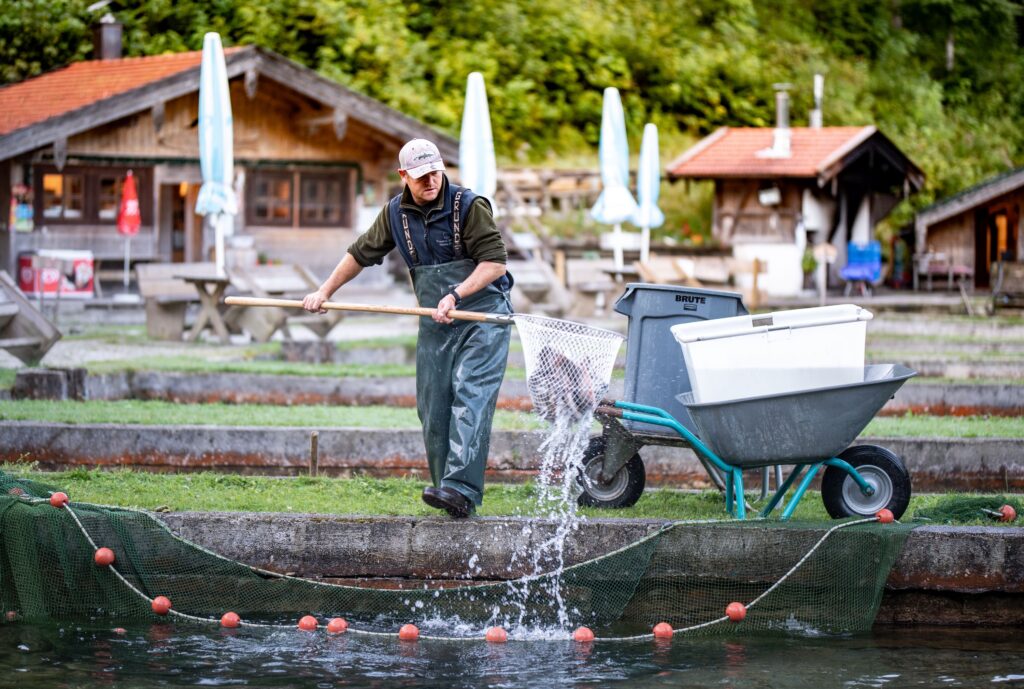 Herzogliche Fischzucht Wildbad Kreuth