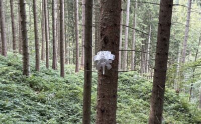 Almresidency Skulpturenpfad, Anna Lena Keller