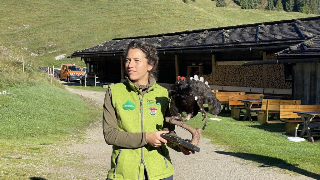 Auf der Königsalm: Iris Löbel von der Gebietsbetreuung Mangfallgebirge informiert über den Naturschutzaspekt des Schwendens
