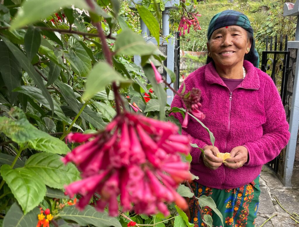 Üppige Vegetation, üppige Farben