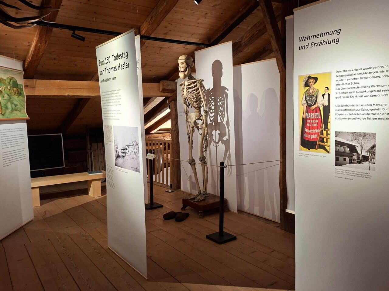 Das Skelett von Thomas Hasler ist ein wertvolles Bio-Präparat - jetzt ist "der größte Bayer" in seinen Heimatort zurückgekehrt