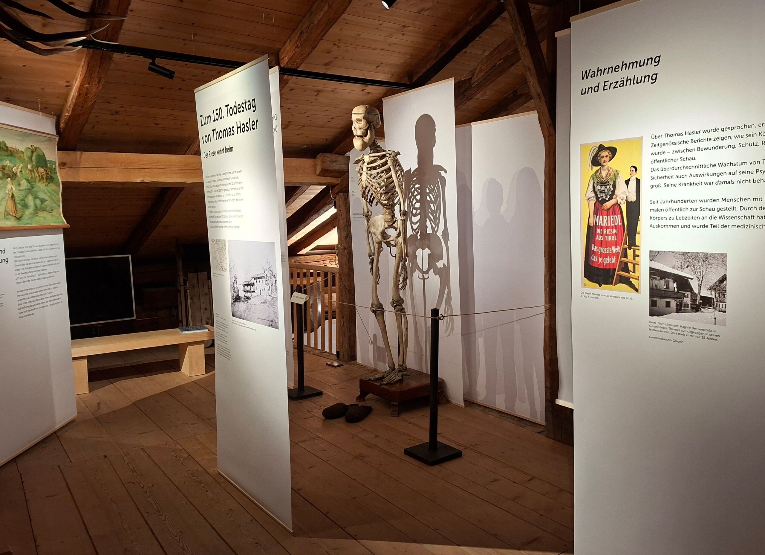 Das Skelett von Thomas Hasler ist ein wertvolles Bio-Präparat - jetzt ist "der größte Bayer" in seinen Heimatort zurückgekehrt