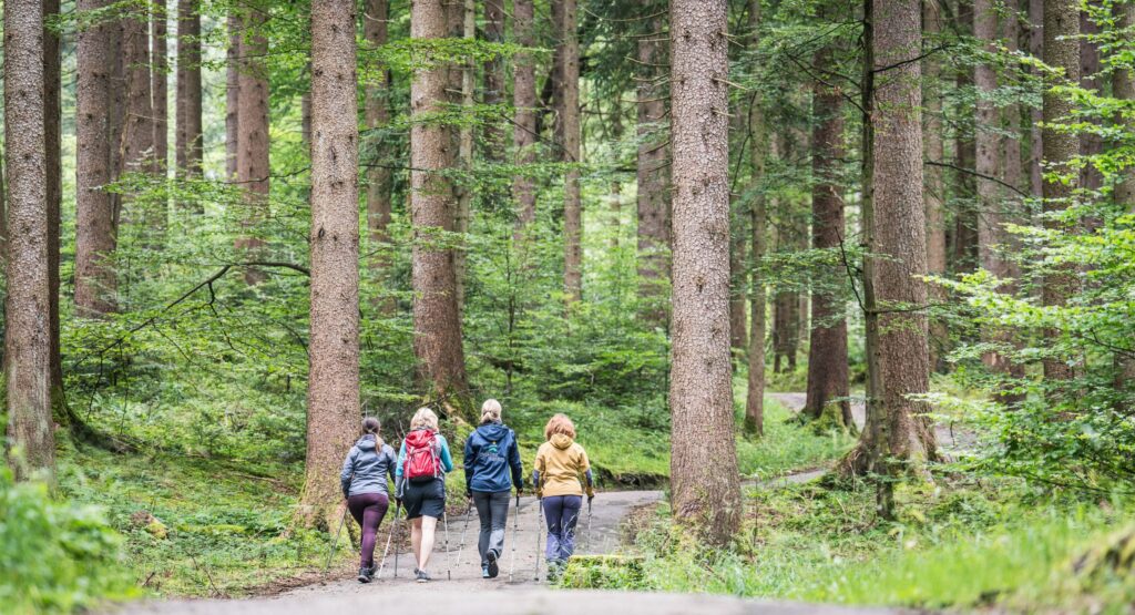 Gesundheit stärken beim Heilklimawandern in Kreuth