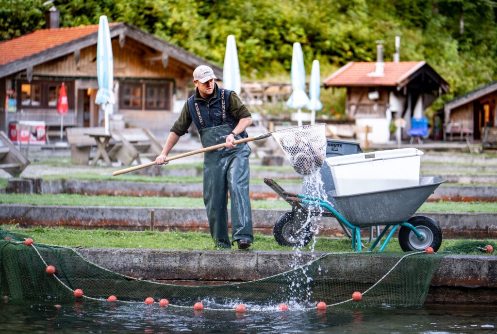 Führung in der herzoglichen Fischzucht Wildbad Kreuth