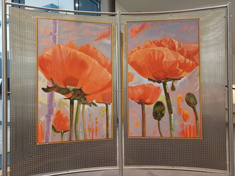 Mohn