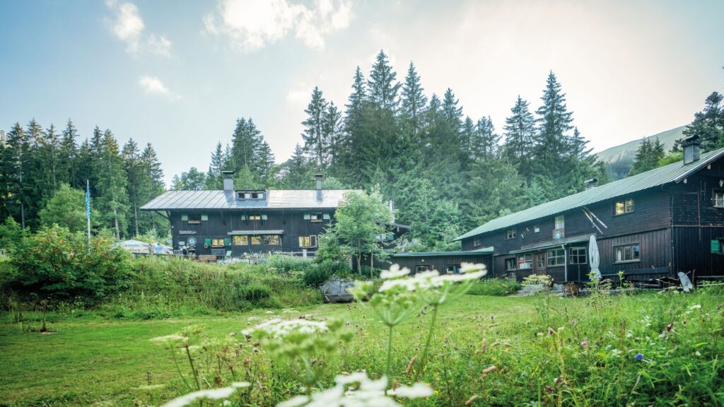 Musi auf der Alm - Buchsteinhütte