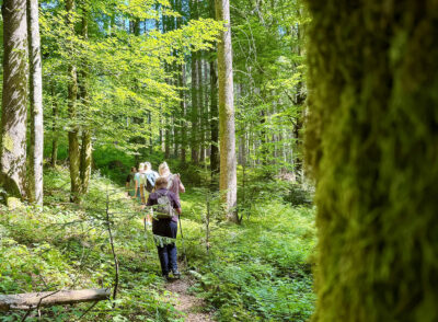 Waldbaden - mit Gehmeditation