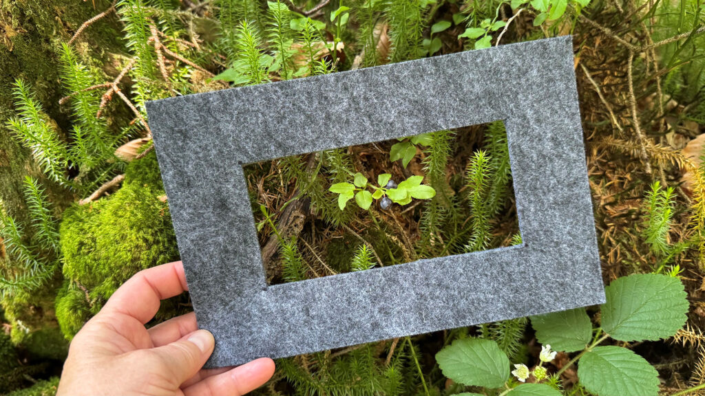 Im Rahmen den Wald noch detaillierter wahrnehmen