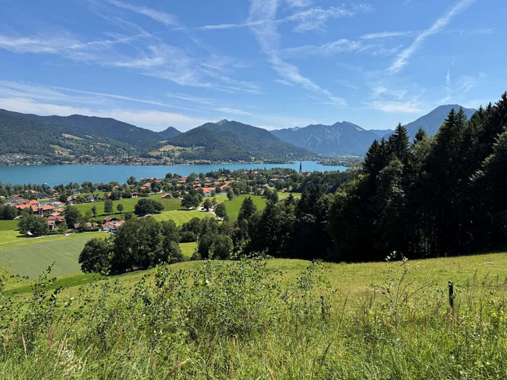 Station beim Waldbaden: Prinzenruh