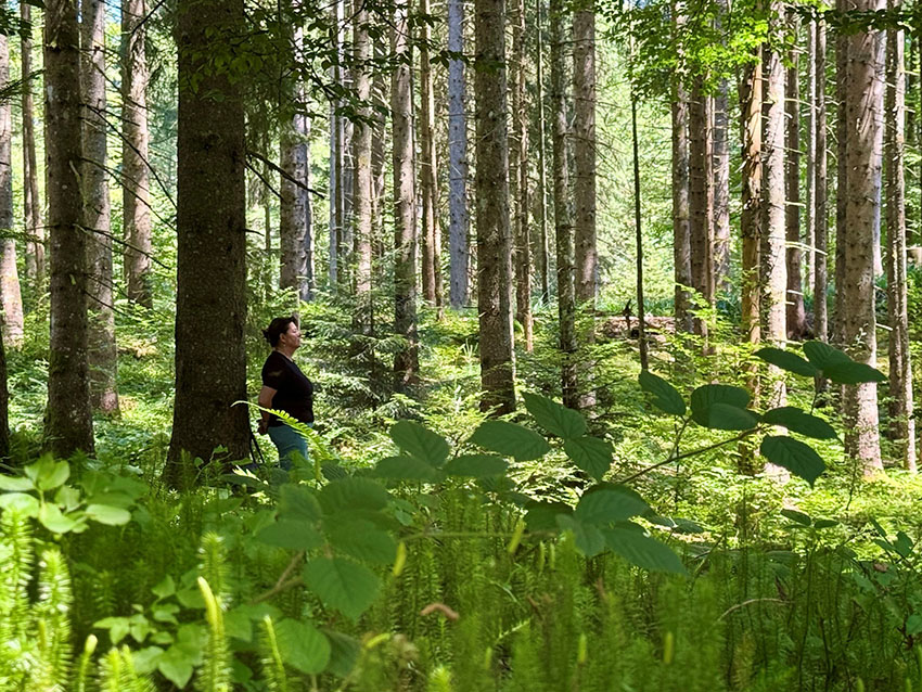 Waldbaden - den Wald und seine Heilkraft spüren